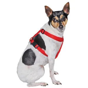 3/8" x 8-14" Adjustable Dog Harness by Jeffers