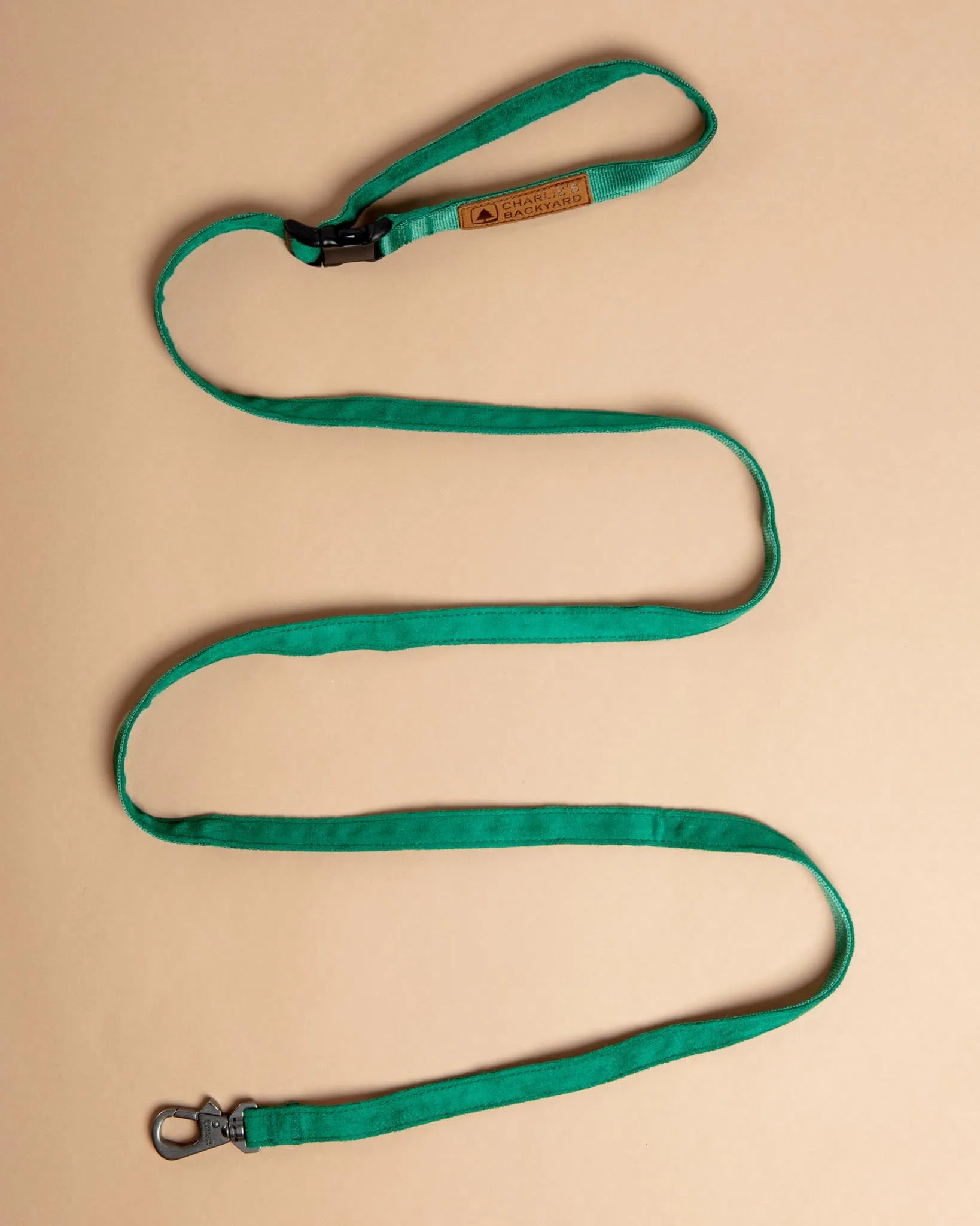 Adjustable Easy Dog Leash in Green