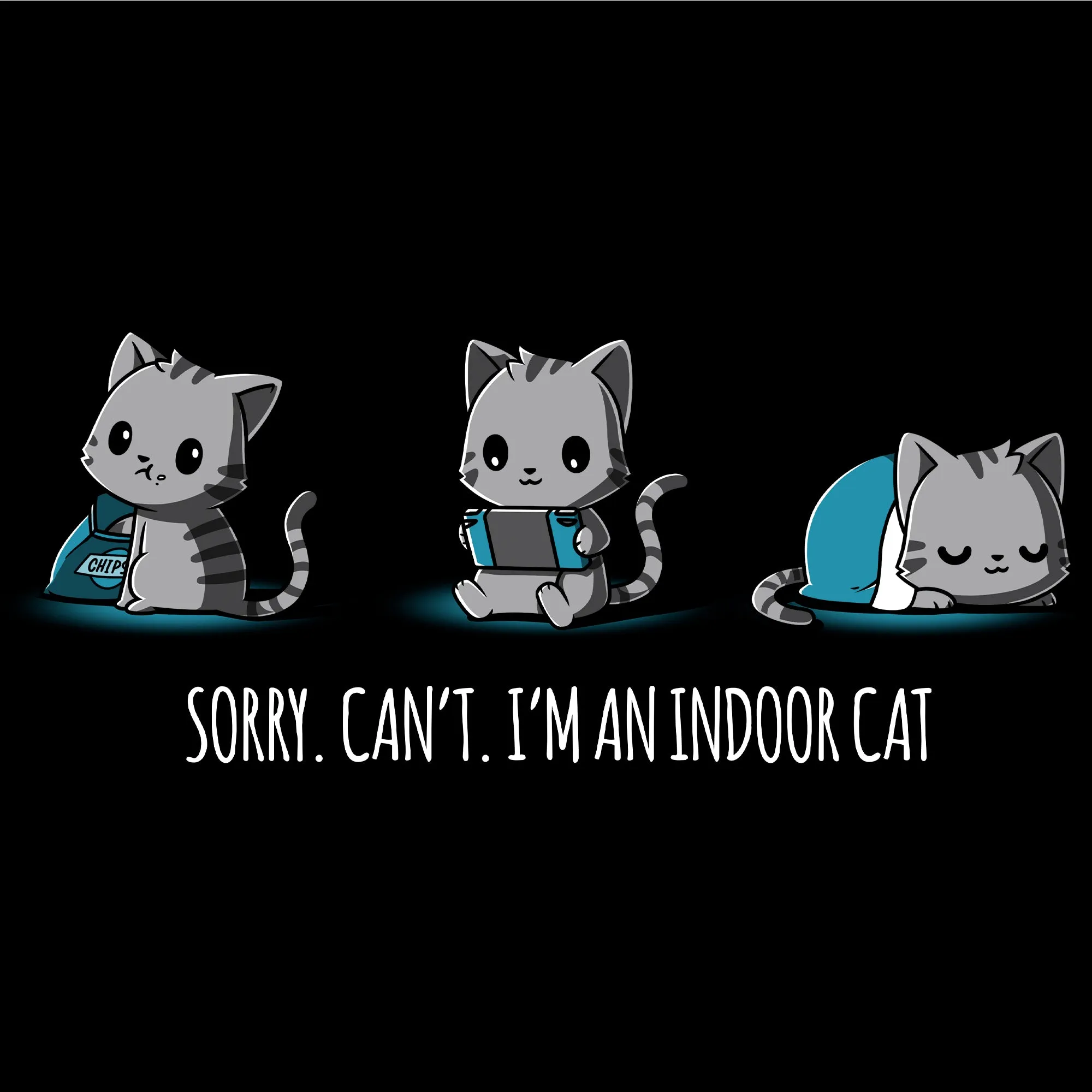 I'm an Indoor Cat