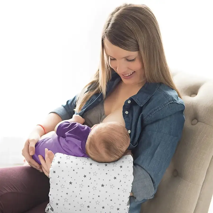 Lansinoh Breastfeeding Pillow