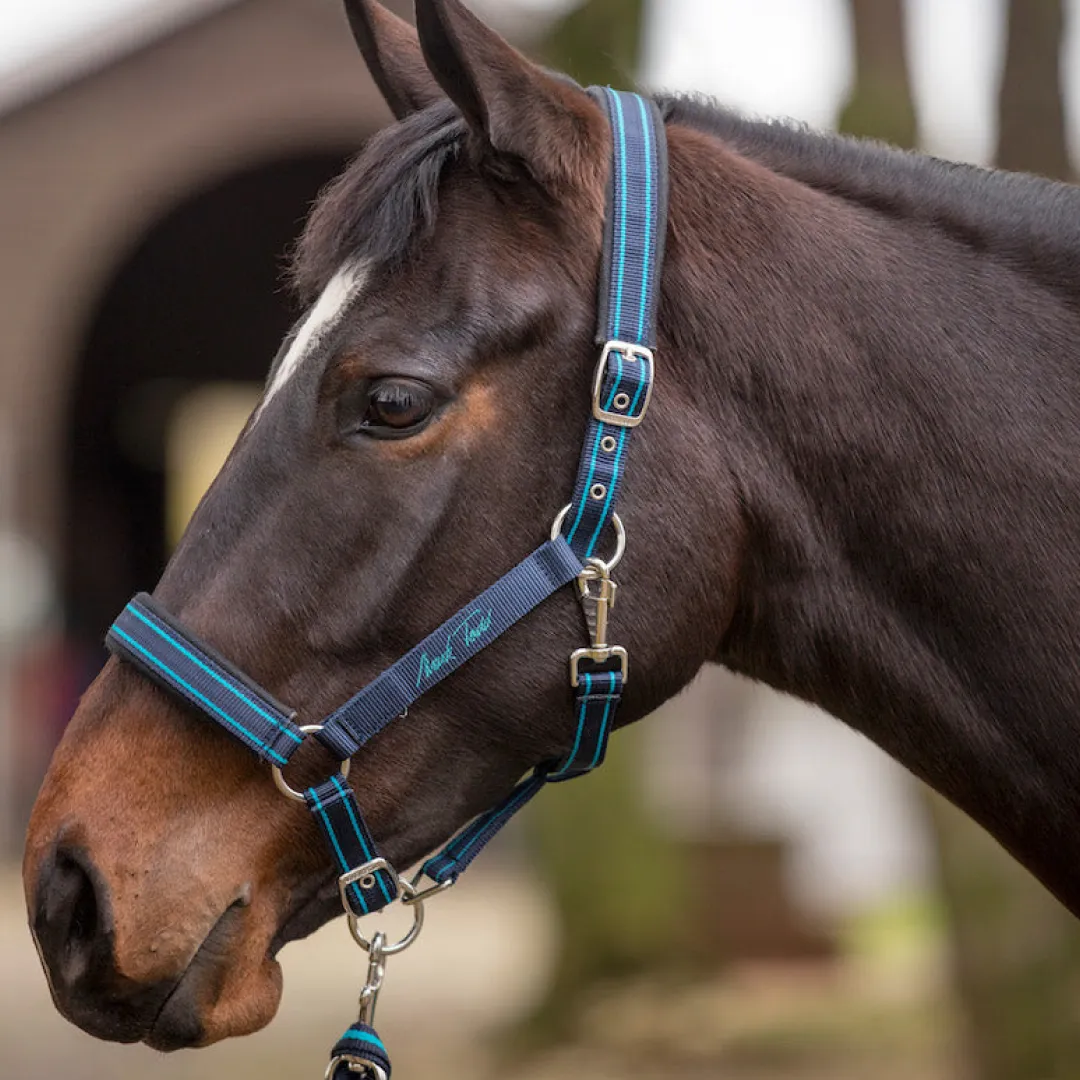 Mark Todd Nylon Headcollar