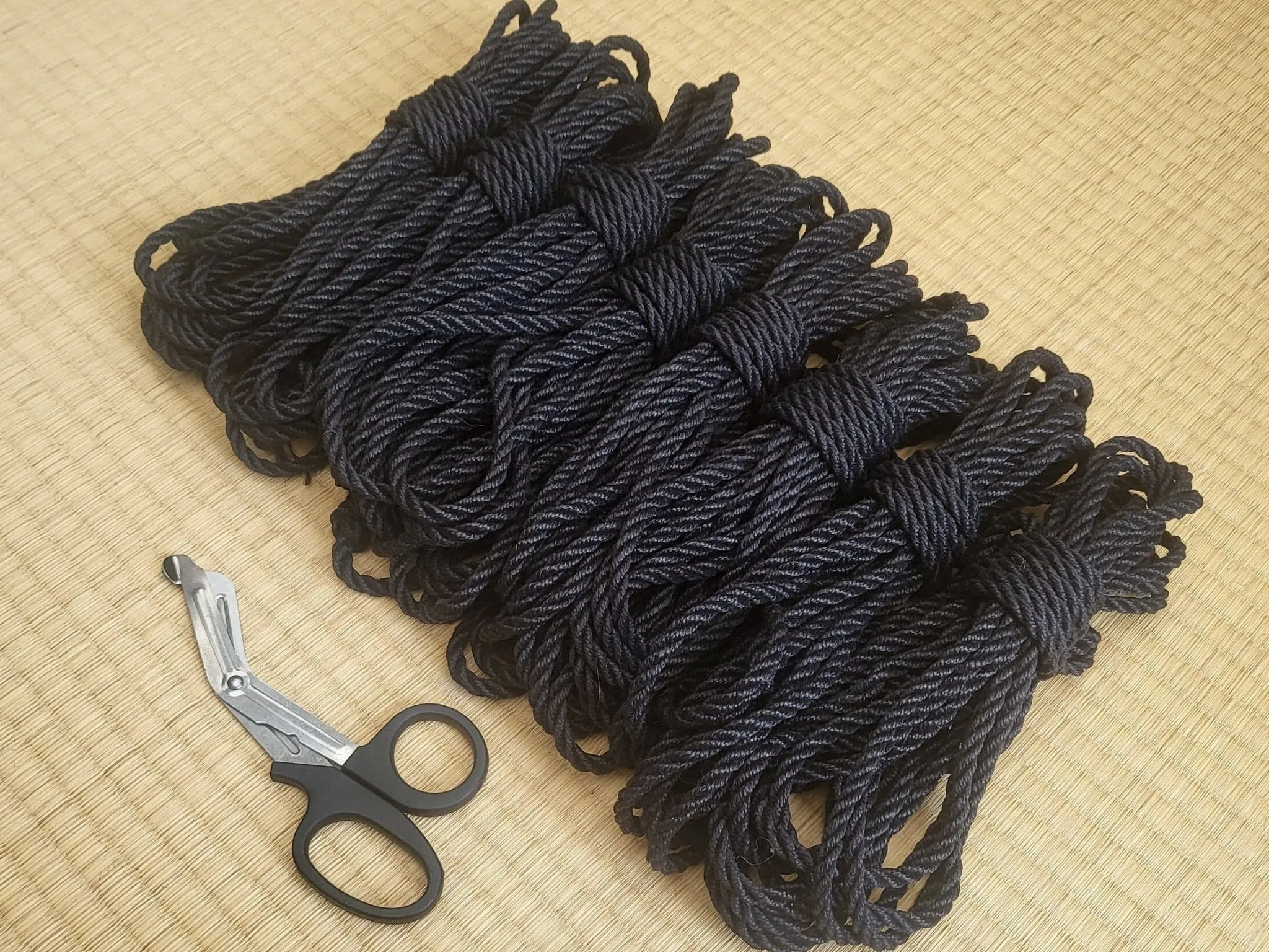 Raven Black 2-Ply Jute Shibari Rope